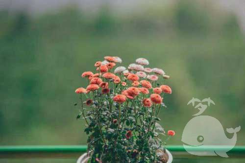 做此梦-遇到意外的困难-要多加小心