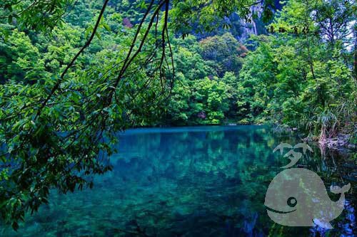 做此梦-预示着近期生意将不景气