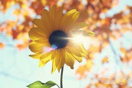 做此梦-预示会有意想不到的快乐