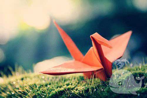 预示着做梦者的幸福生活