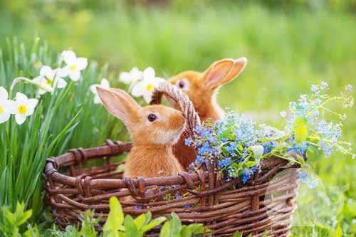 做此梦-预示着近期你的财运会上升