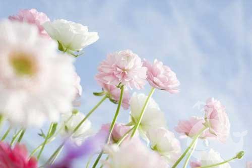 做此梦-梦者会出现一些麻烦或者生病