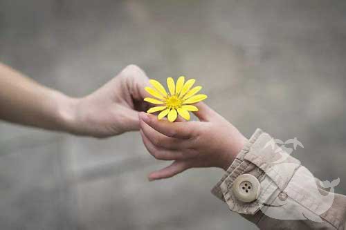 做此梦-表示梦者将经历一场较大波折