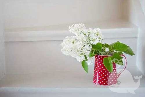 做此梦-意味着亲密的朋友会背叛自己