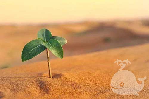 做此梦-多加注意近期的行事和行为