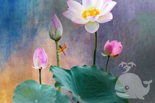 梦见此事-通常预示会传来好消息