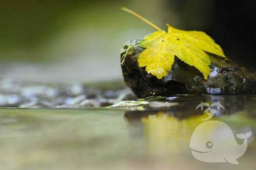 做此梦-预示着梦者最近会有很多的麻烦