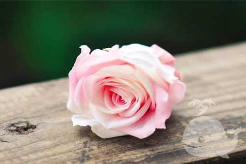 做此梦-预示梦者会背离-背叛别人