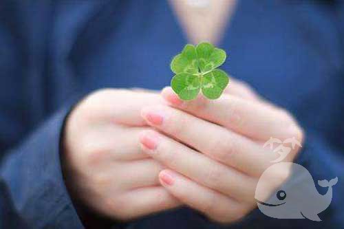 做此梦-梦者将有喜事或者遇到幸运