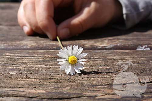 做此梦-意味着自己的运气坏到了极点