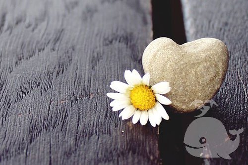 梦见此事-表示梦者的恋爱顺利