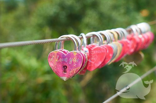 梦见此事-预示着储蓄的增加