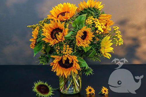 做此梦-表示有人会向你示爱