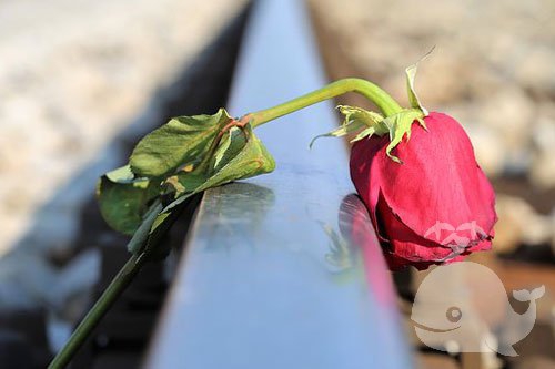 梦见此事-提醒你要当心遇上灾祸