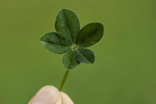 做此梦-预示梦者近期有好事降临