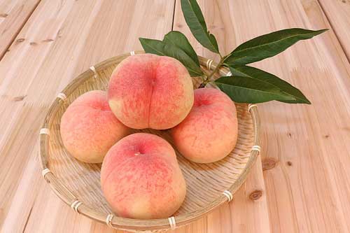 梦见又大又红的桃子