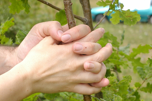 梦见爸爸切掉右小指