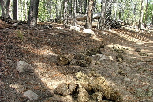 梦见爸爸对我拉大便