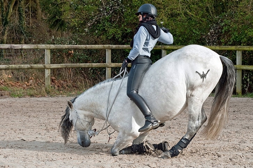 梦见像爸爸跪下