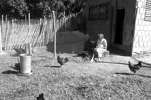 梦见奶奶洗屁股