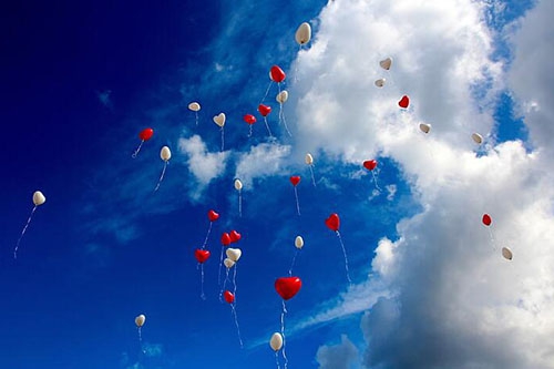 梦见和别人一起飞