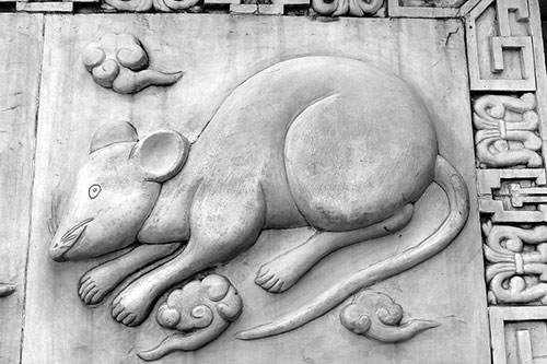 2023年属鼠的人全年运势好吗